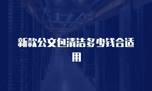 新款公文包清洁多少钱合适用
