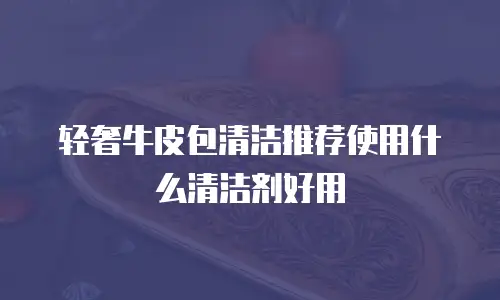 轻奢牛皮包清洁推荐使用什么清洁剂好用