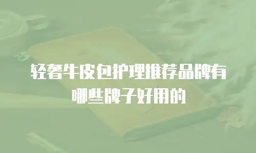 轻奢牛皮包护理推荐品牌有哪些牌子好用的