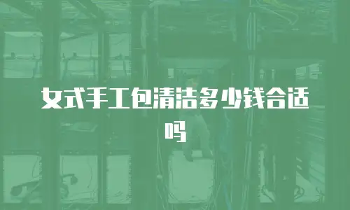 女式手工包清洁多少钱合适吗