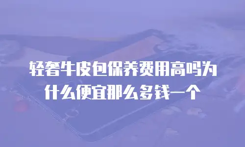 轻奢牛皮包保养费用高吗为什么便宜那么多钱一个