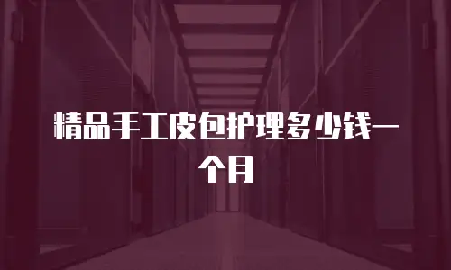 精品手工皮包护理多少钱一个月