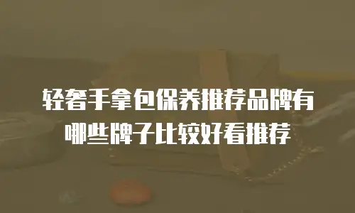 轻奢手拿包保养推荐品牌有哪些牌子比较好看推荐
