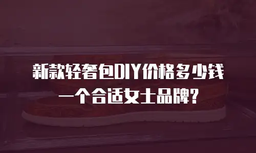 新款轻奢包DIY价格多少钱一个合适女士品牌？