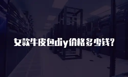 女款牛皮包diy价格多少钱？