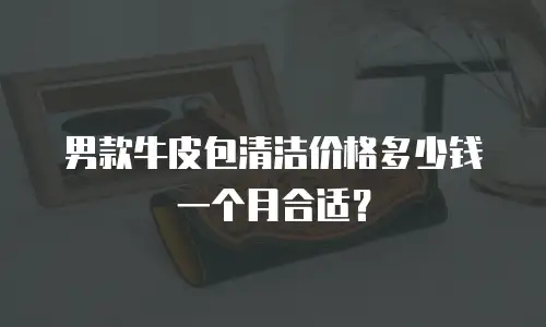 男款牛皮包清洁价格多少钱一个月合适？