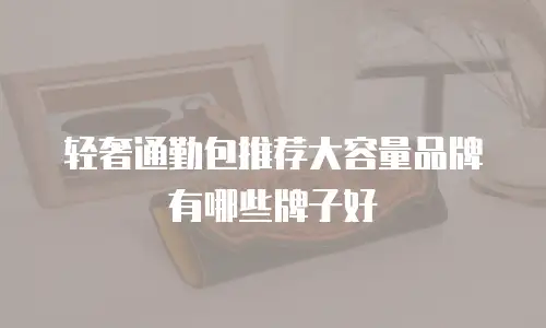 轻奢通勤包推荐大容量品牌有哪些牌子好