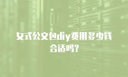 女式公文包diy费用多少钱合适吗？