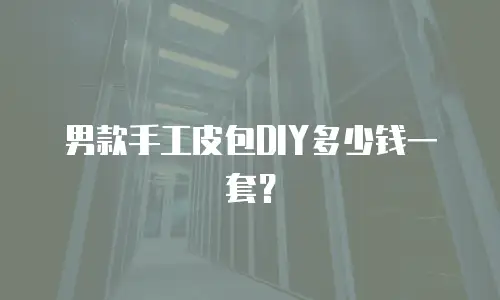 男款手工皮包DIY多少钱一套？