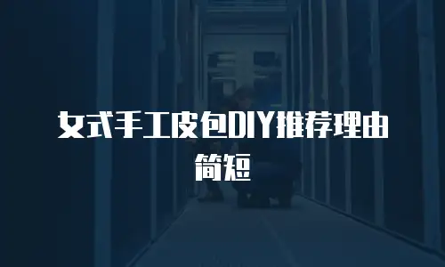 女式手工皮包DIY推荐理由简短