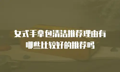 女式手拿包清洁推荐理由有哪些比较好的推荐吗