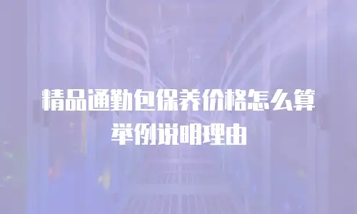 精品通勤包保养价格怎么算举例说明理由