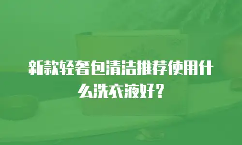 新款轻奢包清洁推荐使用什么洗衣液好？