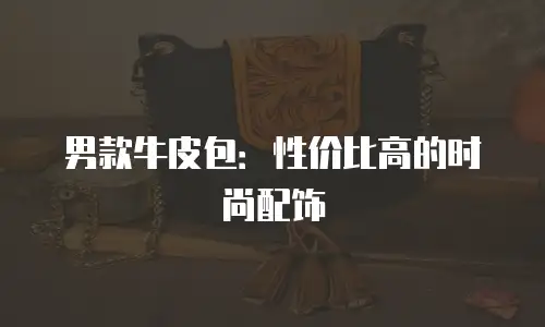 男款牛皮包：性价比高的时尚配饰
