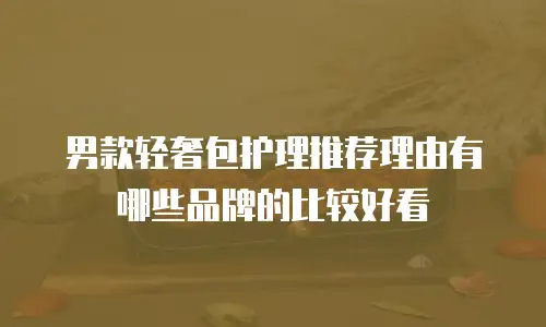 男款轻奢包护理推荐理由有哪些品牌的比较好看