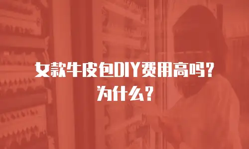 女款牛皮包DIY费用高吗？为什么？