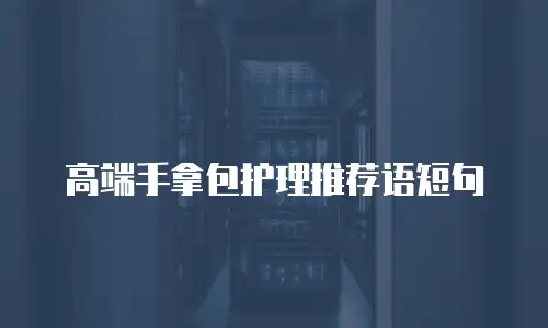 高端手拿包护理推荐语短句