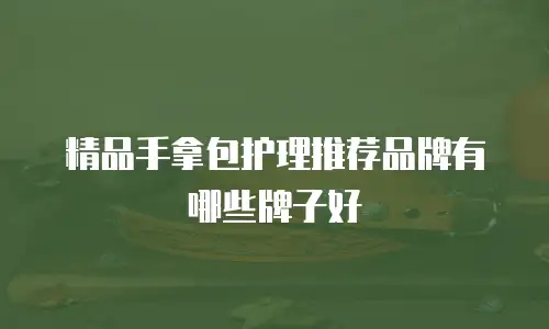 精品手拿包护理推荐品牌有哪些牌子好