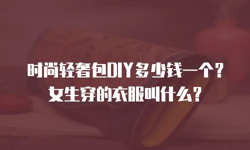 时尚轻奢包DIY多少钱一个？女生穿的衣服叫什么？