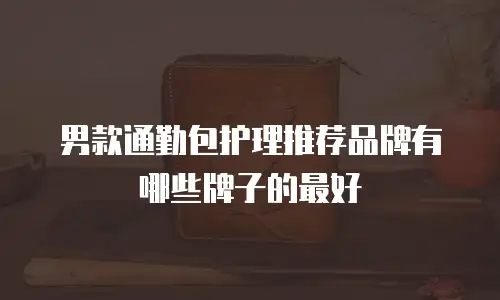 男款通勤包护理推荐品牌有哪些牌子的最好
