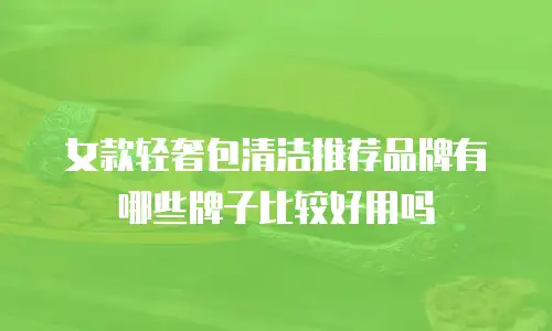 女款轻奢包清洁推荐品牌有哪些牌子比较好用吗
