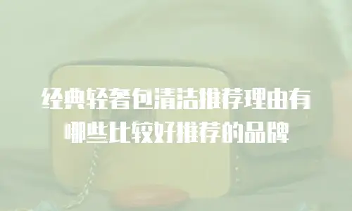 经典轻奢包清洁推荐理由有哪些比较好推荐的品牌