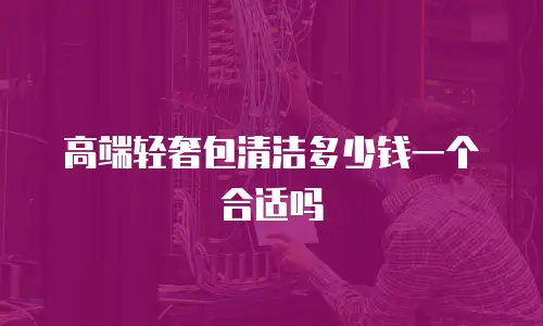 高端轻奢包清洁多少钱一个合适吗