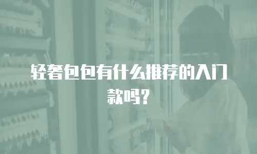 轻奢包包有什么推荐的入门款吗？