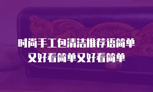 时尚手工包清洁推荐语简单又好看简单又好看简单