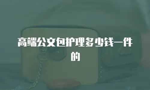 高端公文包护理多少钱一件的