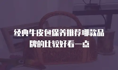 经典牛皮包保养推荐哪款品牌的比较好看一点