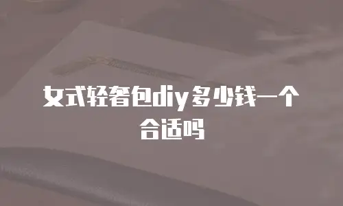 女式轻奢包diy多少钱一个合适吗