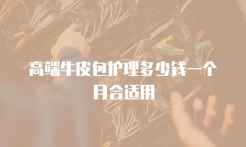 高端牛皮包护理多少钱一个月合适用