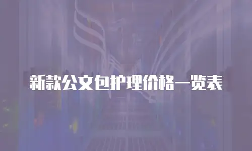 新款公文包护理价格一览表