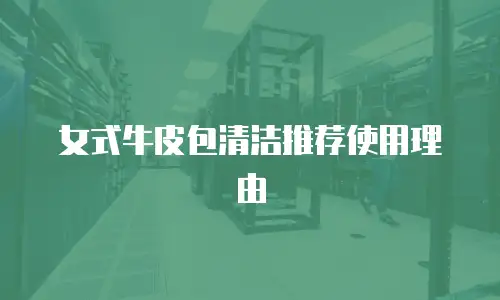 女式牛皮包清洁推荐使用理由