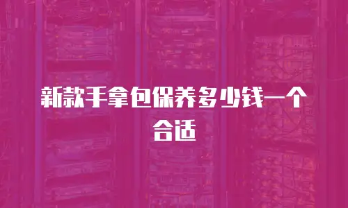 新款手拿包保养多少钱一个合适