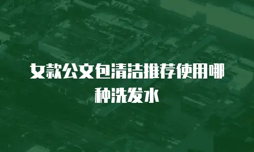 女款公文包清洁推荐使用哪种洗发水