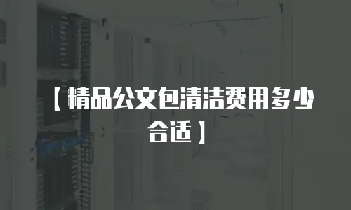 【精品公文包清洁费用多少合适】