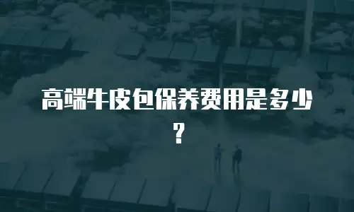 高端牛皮包保养费用是多少？