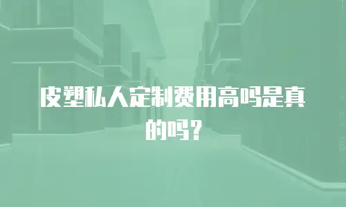 皮塑私人定制费用高吗是真的吗？