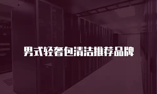 男式轻奢包清洁推荐品牌