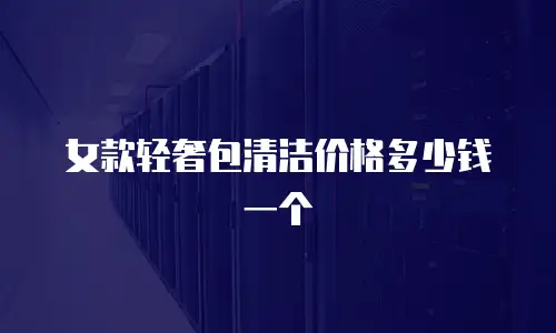 女款轻奢包清洁价格多少钱一个