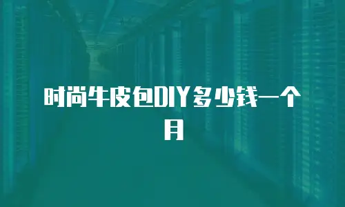 时尚牛皮包DIY多少钱一个月
