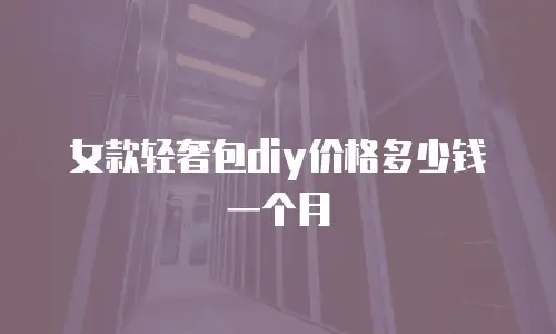 女款轻奢包diy价格多少钱一个月