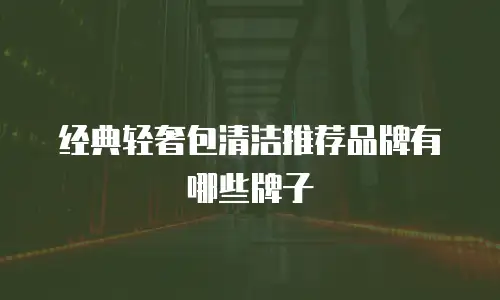 经典轻奢包清洁推荐品牌有哪些牌子