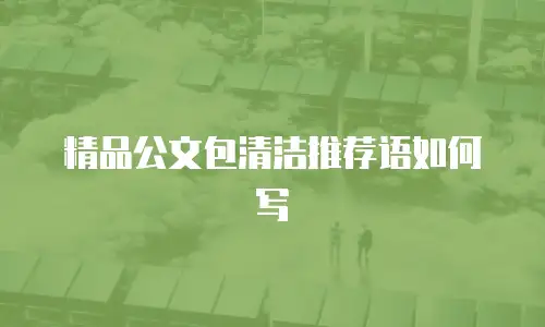 精品公文包清洁推荐语如何写