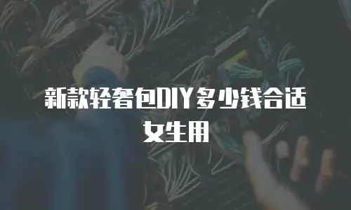 新款轻奢包DIY多少钱合适女生用