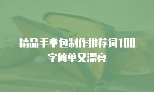 精品手拿包制作推荐词100字简单又漂亮