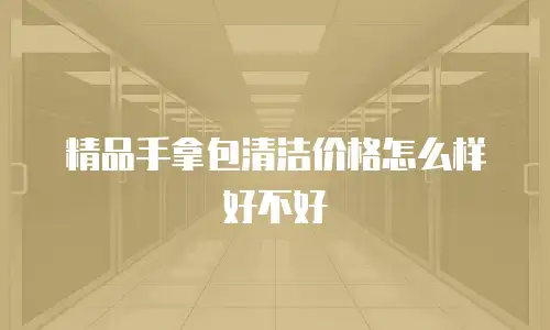 精品手拿包清洁价格怎么样好不好