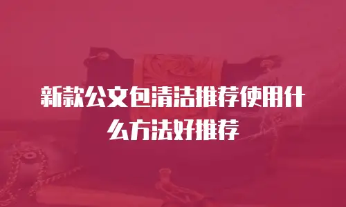 新款公文包清洁推荐使用什么方法好推荐